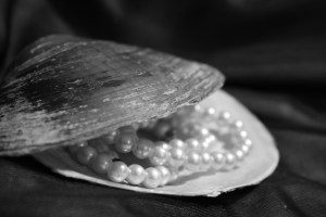 5163173681_678d73a991_b